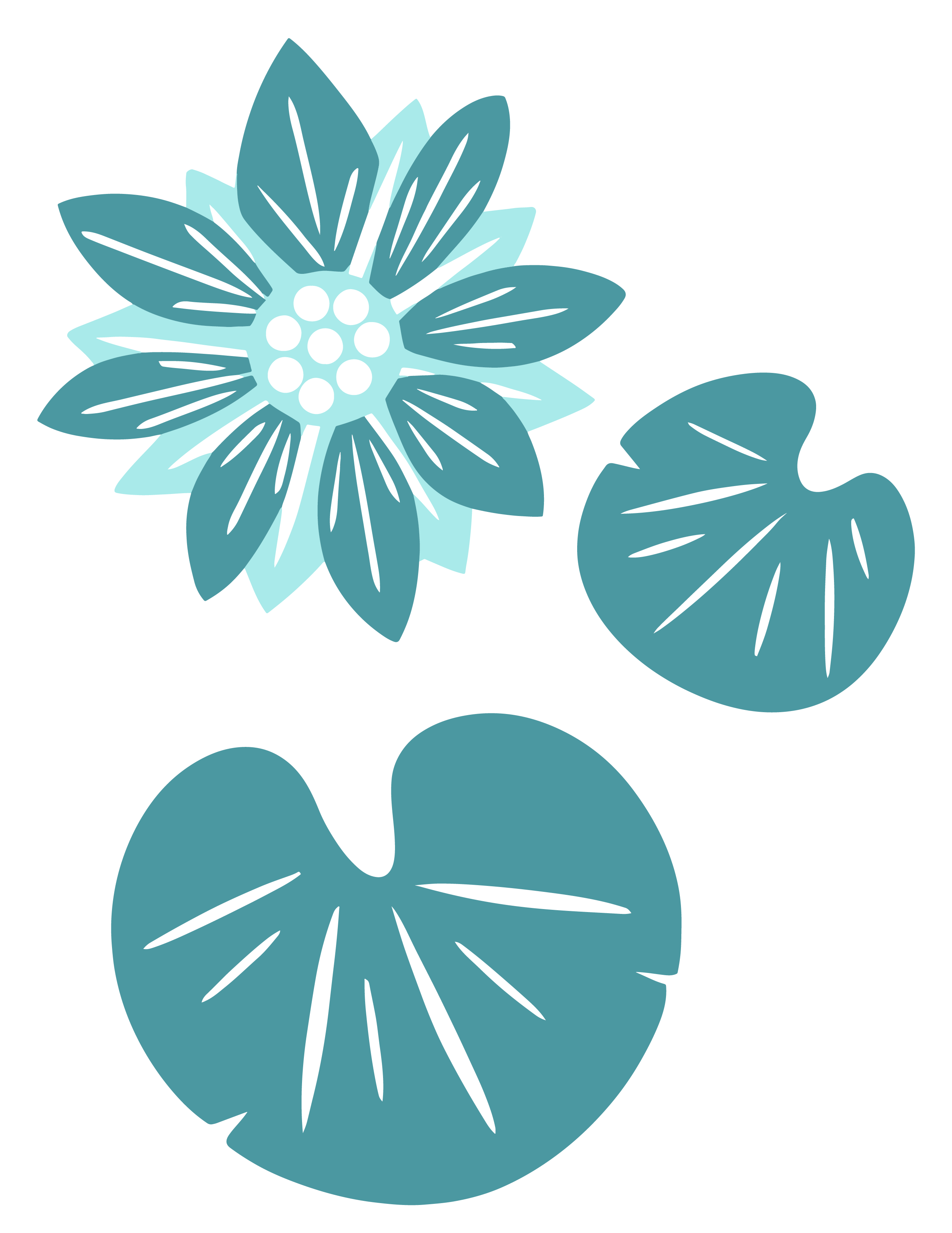 decoration
